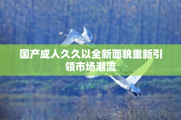 国产成人久久以全新面貌重新引领市场潮流