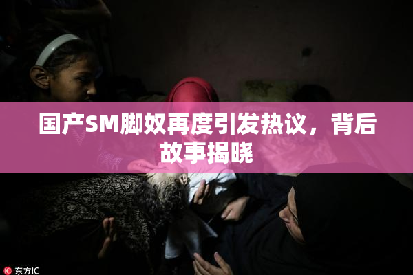 国产SM脚奴再度引发热议，背后故事揭晓