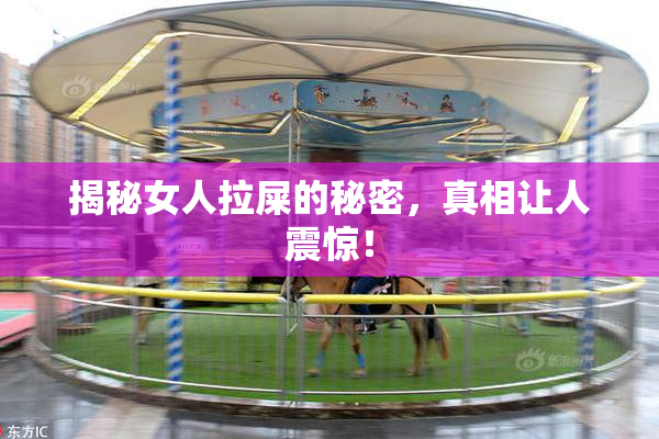 揭秘女人拉屎的秘密，真相让人震惊！