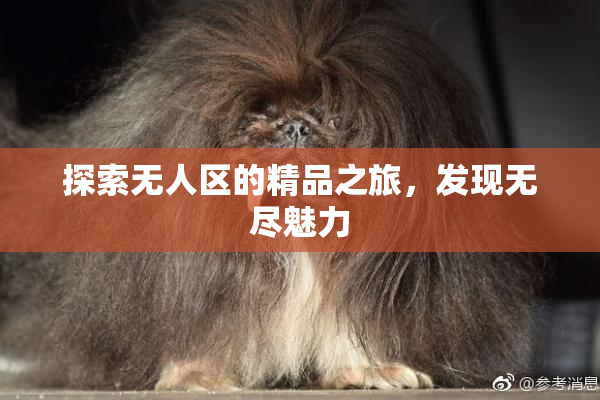 探索无人区的精品之旅，发现无尽魅力