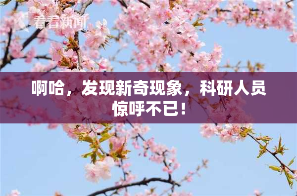 啊哈，发现新奇现象，科研人员惊呼不已！