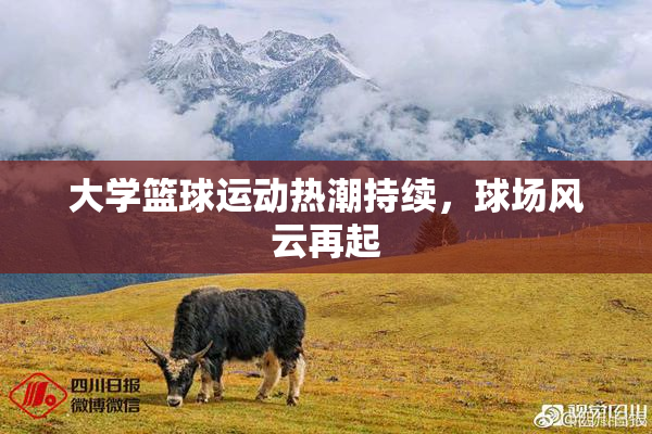大学篮球运动热潮持续，球场风云再起