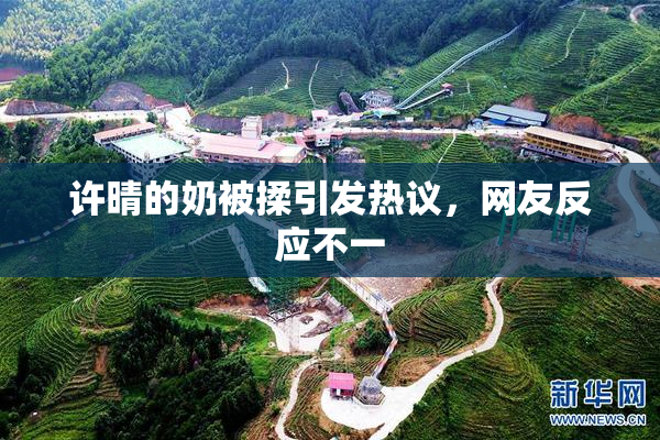 许晴的奶被揉引发热议，网友反应不一