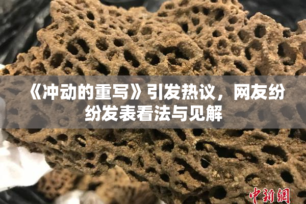 《冲动的重写》引发热议，网友纷纷发表看法与见解