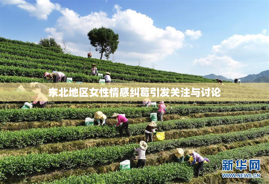 东北地区女性情感纠葛引发关注与讨论