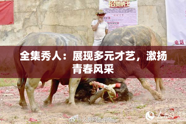 全集秀人：展现多元才艺，激扬青春风采