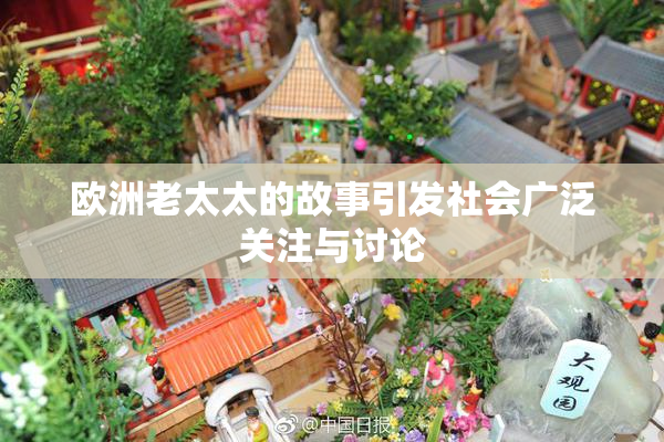 欧洲老太太的故事引发社会广泛关注与讨论