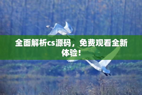 全面解析cs源码，免费观看全新体验！