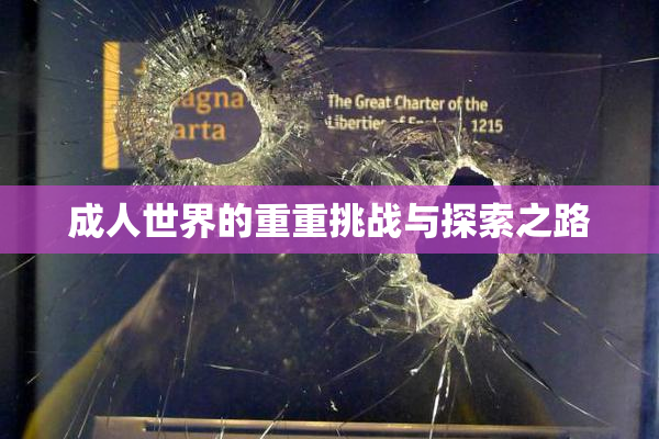 成人世界的重重挑战与探索之路