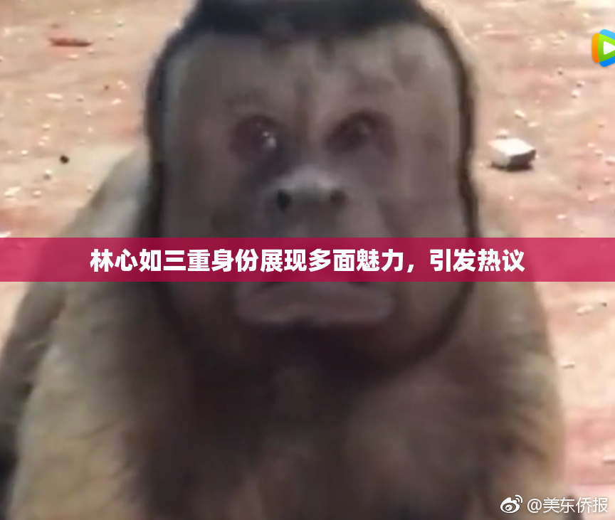 林心如三重身份展现多面魅力，引发热议