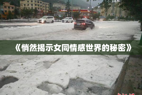 《悄然揭示女同情感世界的秘密》