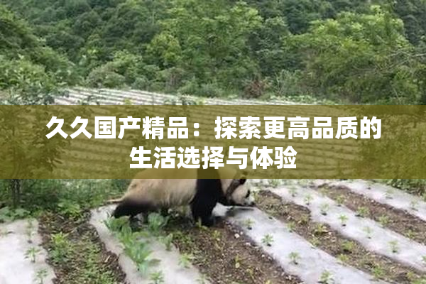 久久国产精品：探索更高品质的生活选择与体验