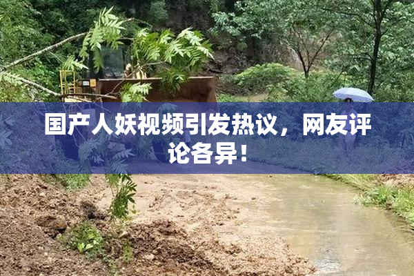 国产人妖视频引发热议，网友评论各异！