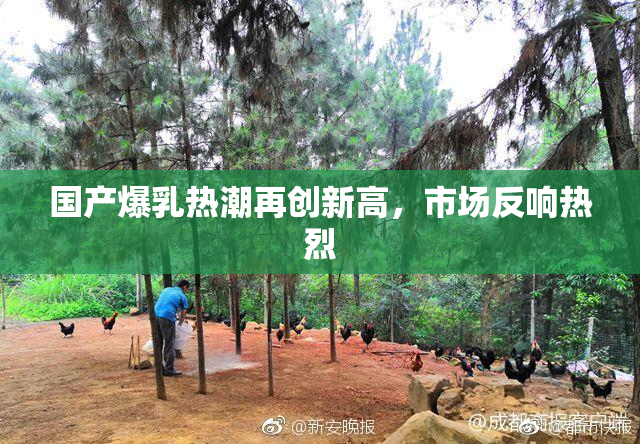 国产爆乳热潮再创新高，市场反响热烈