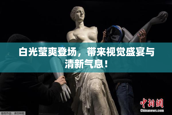 白光莹爽登场，带来视觉盛宴与清新气息！