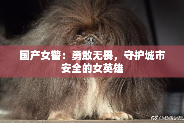 国产女警：勇敢无畏，守护城市安全的女英雄