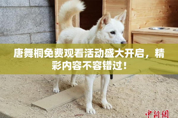 唐舞桐免费观看活动盛大开启，精彩内容不容错过！