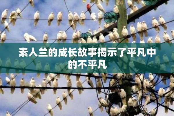 素人兰的成长故事揭示了平凡中的不平凡