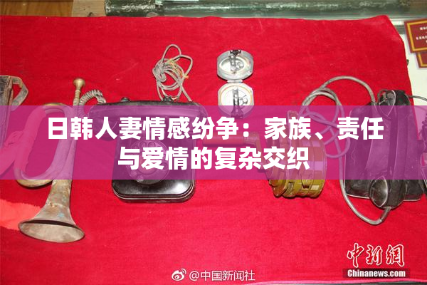 日韩人妻情感纷争：家族、责任与爱情的复杂交织