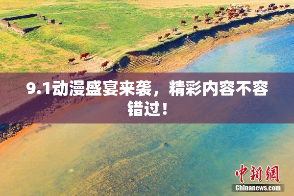 9.1动漫盛宴来袭，精彩内容不容错过！