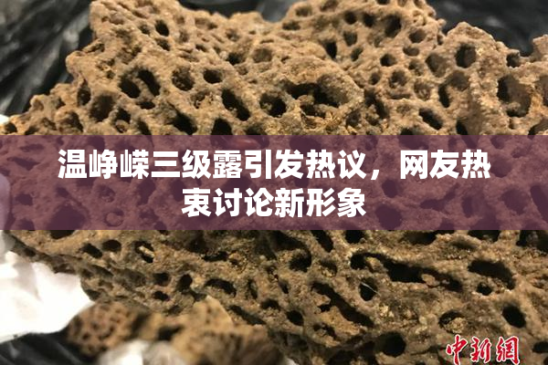 温峥嵘三级露引发热议，网友热衷讨论新形象