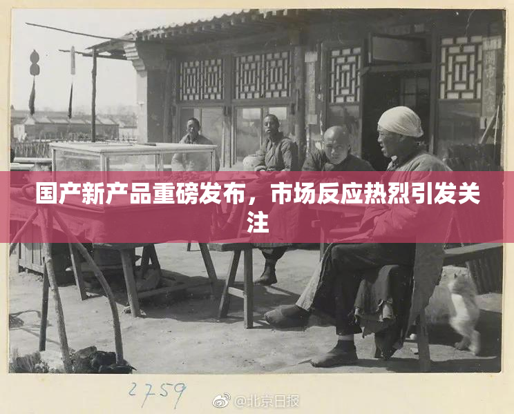国产新产品重磅发布，市场反应热烈引发关注