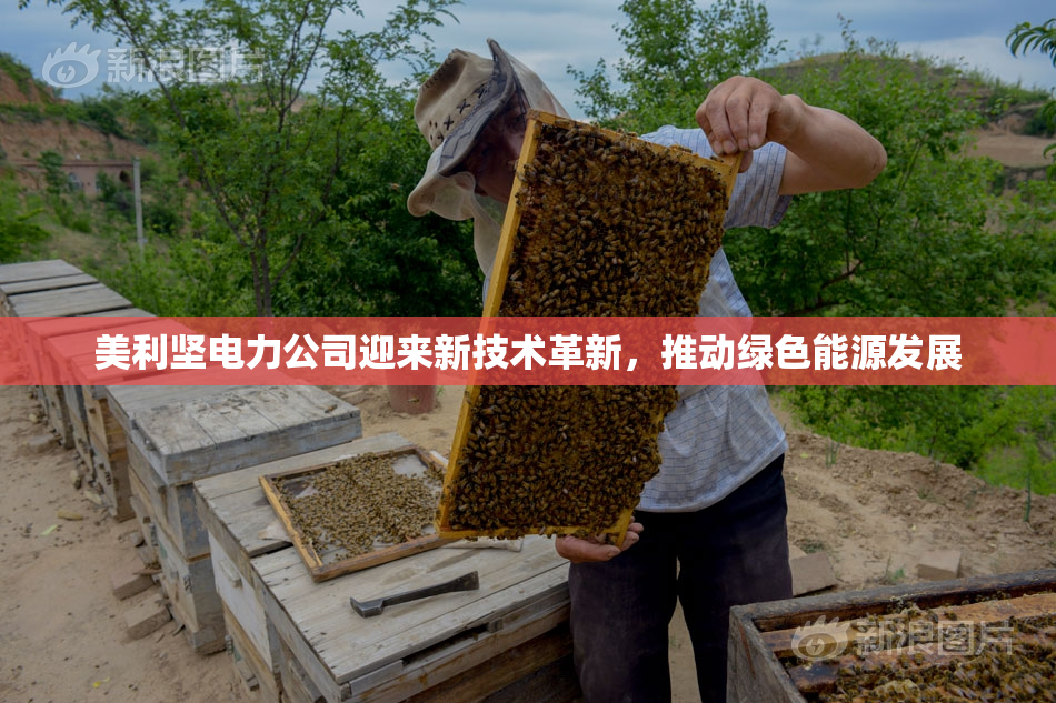 美利坚电力公司迎来新技术革新，推动绿色能源发展
