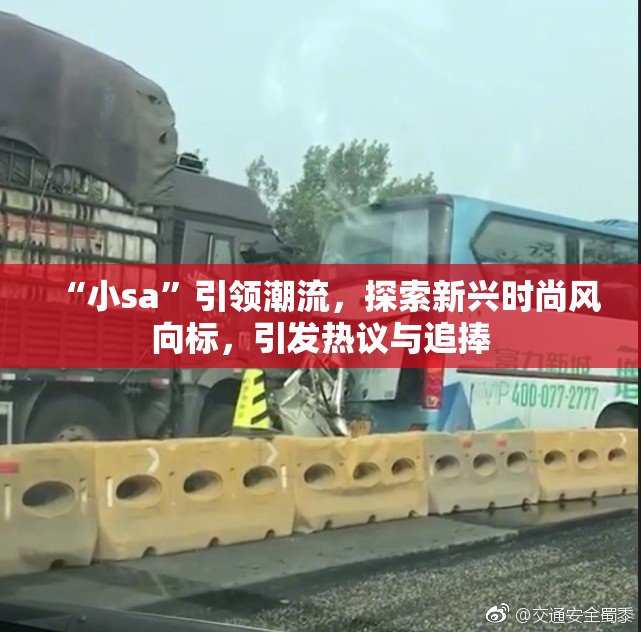 “小sa”引领潮流，探索新兴时尚风向标，引发热议与追捧