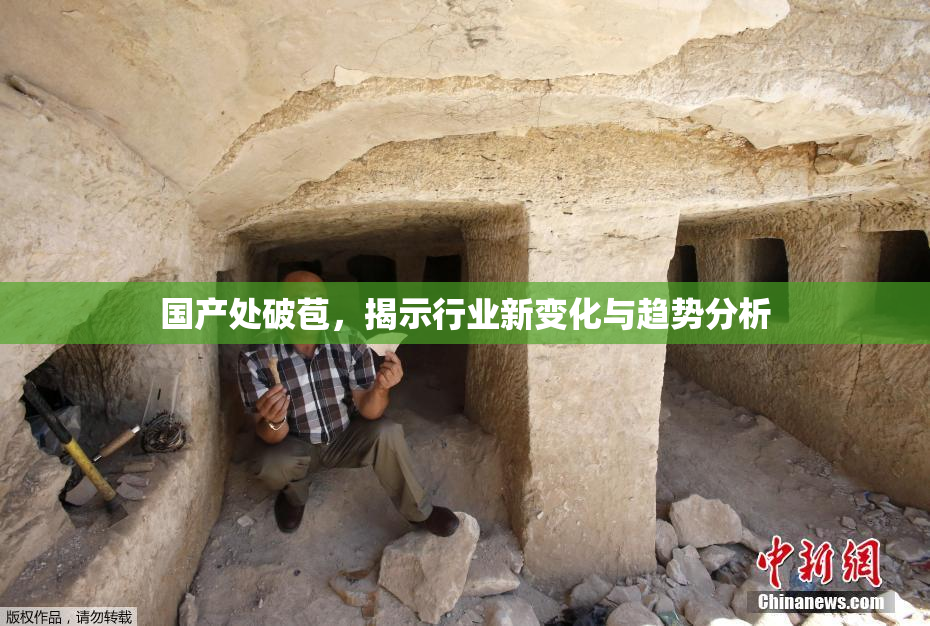 国产处破苞，揭示行业新变化与趋势分析