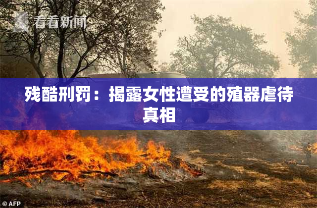 残酷刑罚：揭露女性遭受的殖器虐待真相
