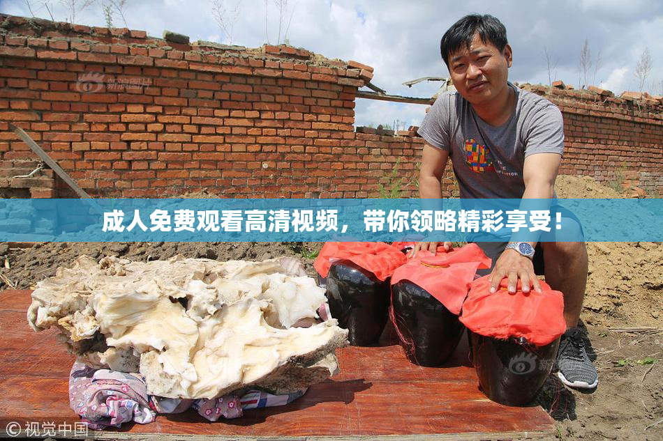 成人免费观看高清视频，带你领略精彩享受！