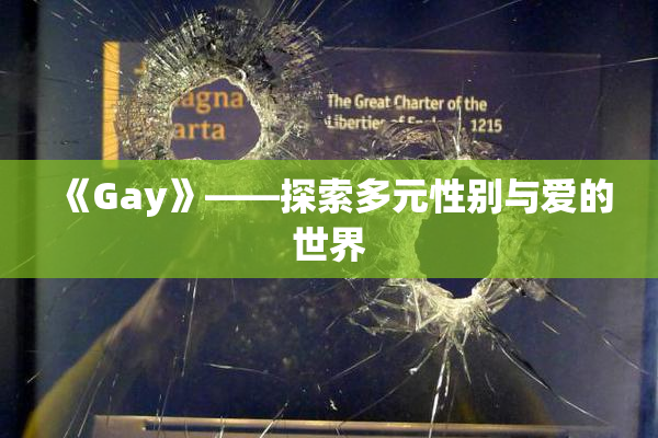 《Gay》——探索多元性别与爱的世界