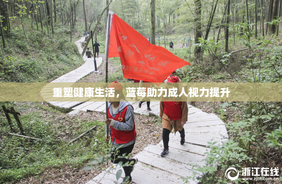 重塑健康生活，蓝莓助力成人视力提升