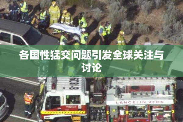 各国性猛交问题引发全球关注与讨论