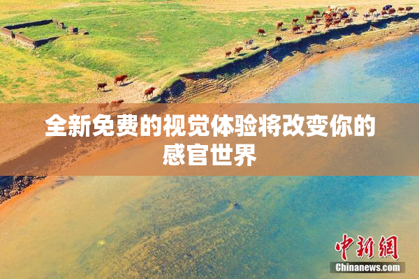 全新免费的视觉体验将改变你的感官世界