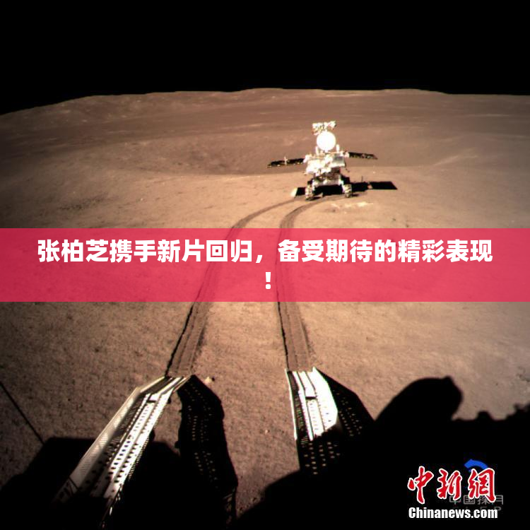 张柏芝携手新片回归，备受期待的精彩表现！