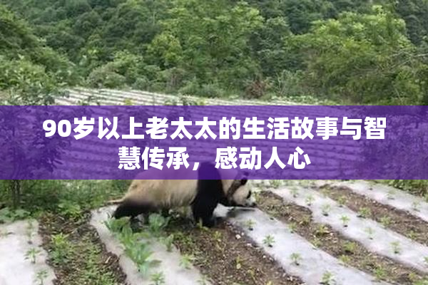 90岁以上老太太的生活故事与智慧传承，感动人心