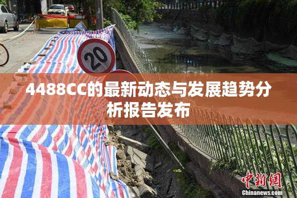 4488CC的最新动态与发展趋势分析报告发布