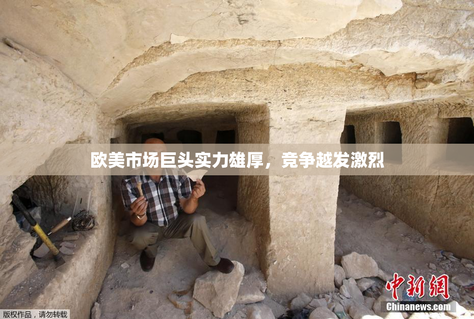 欧美市场巨头实力雄厚，竞争越发激烈