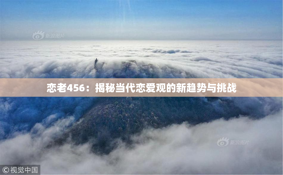 恋老456：揭秘当代恋爱观的新趋势与挑战