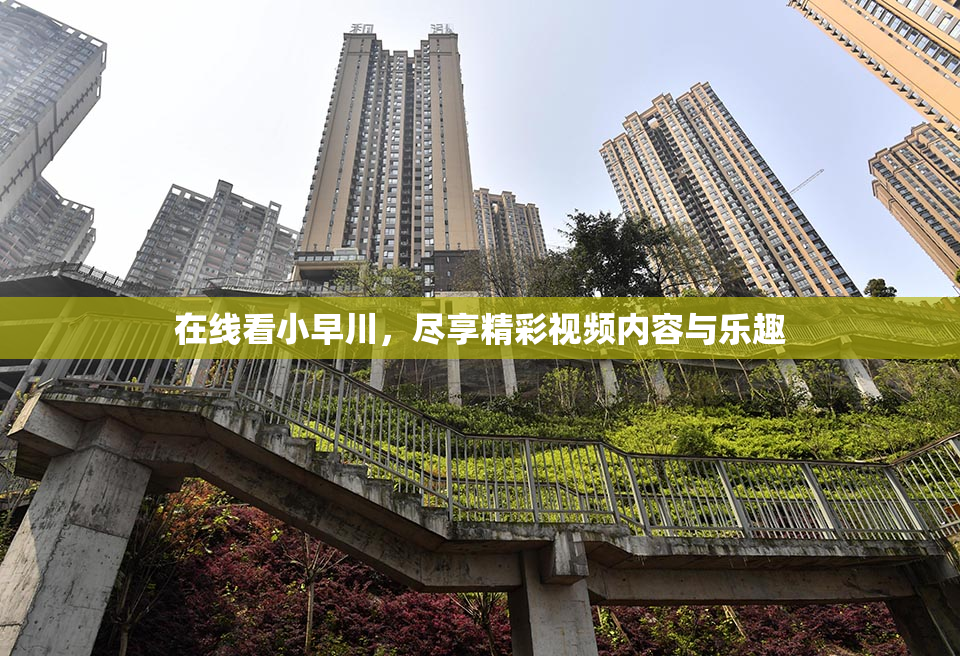 在线看小早川，尽享精彩视频内容与乐趣