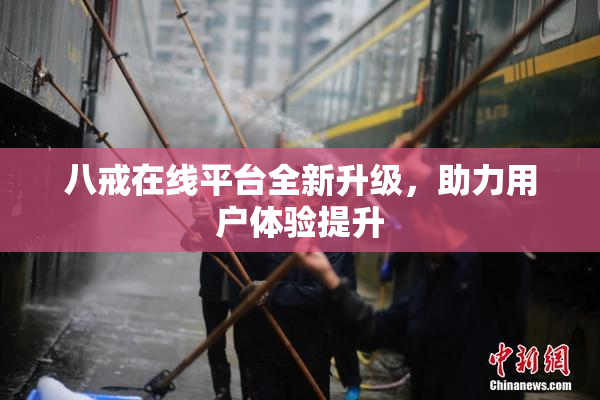 八戒在线平台全新升级，助力用户体验提升