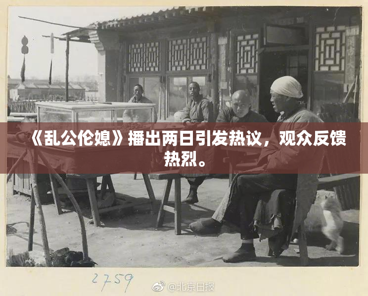 《乱公伦媳》播出两日引发热议，观众反馈热烈。