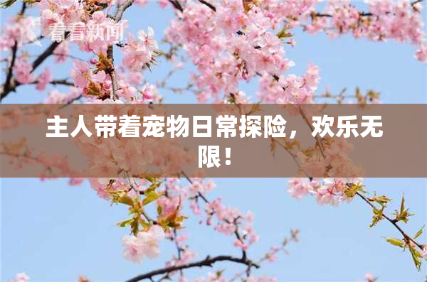 主人带着宠物日常探险，欢乐无限！