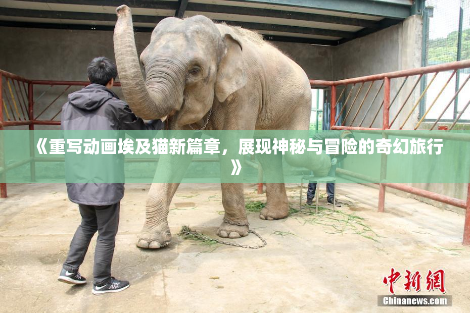 《重写动画埃及猫新篇章，展现神秘与冒险的奇幻旅行》
