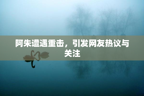 阿朱遭遇重击，引发网友热议与关注