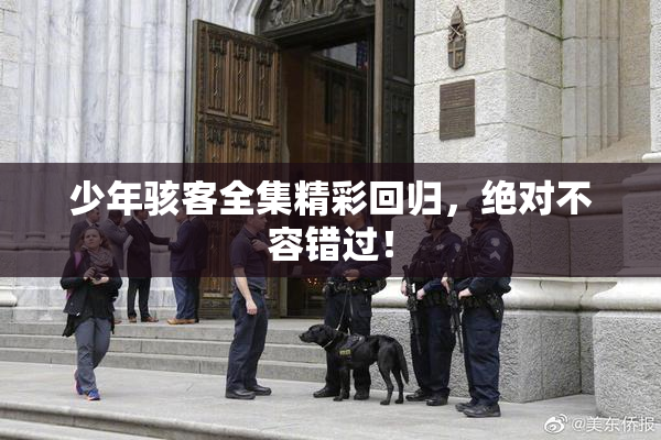 少年骇客全集精彩回归，绝对不容错过！