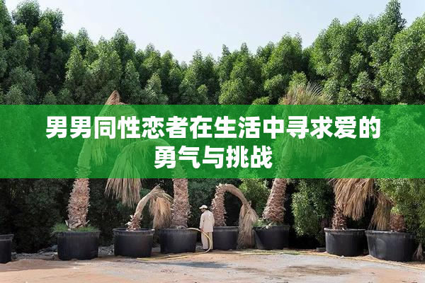 男男同性恋者在生活中寻求爱的勇气与挑战