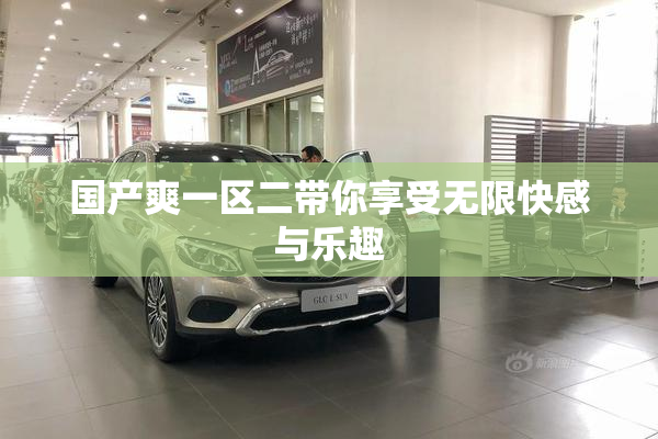 国产爽一区二带你享受无限快感与乐趣