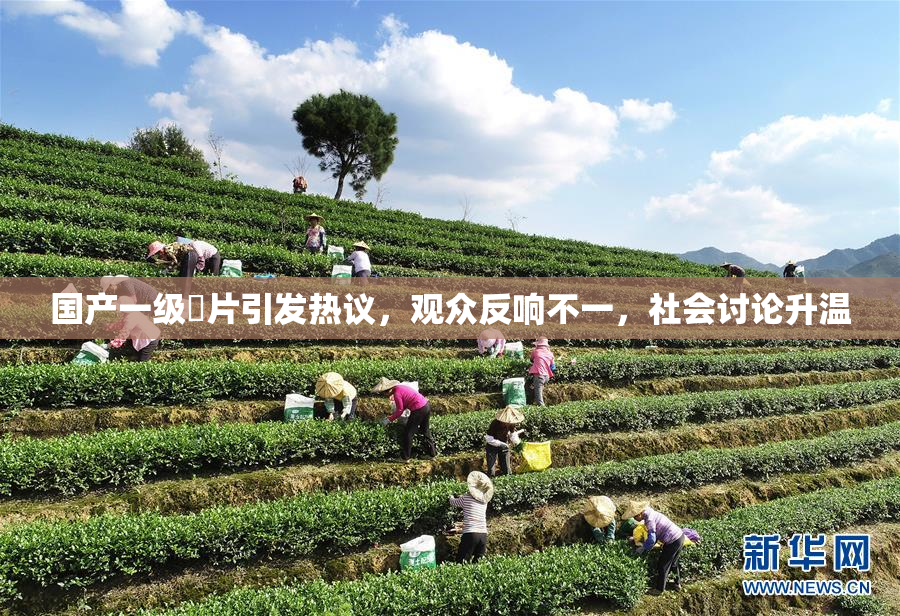 国产一级婬片引发热议，观众反响不一，社会讨论升温
